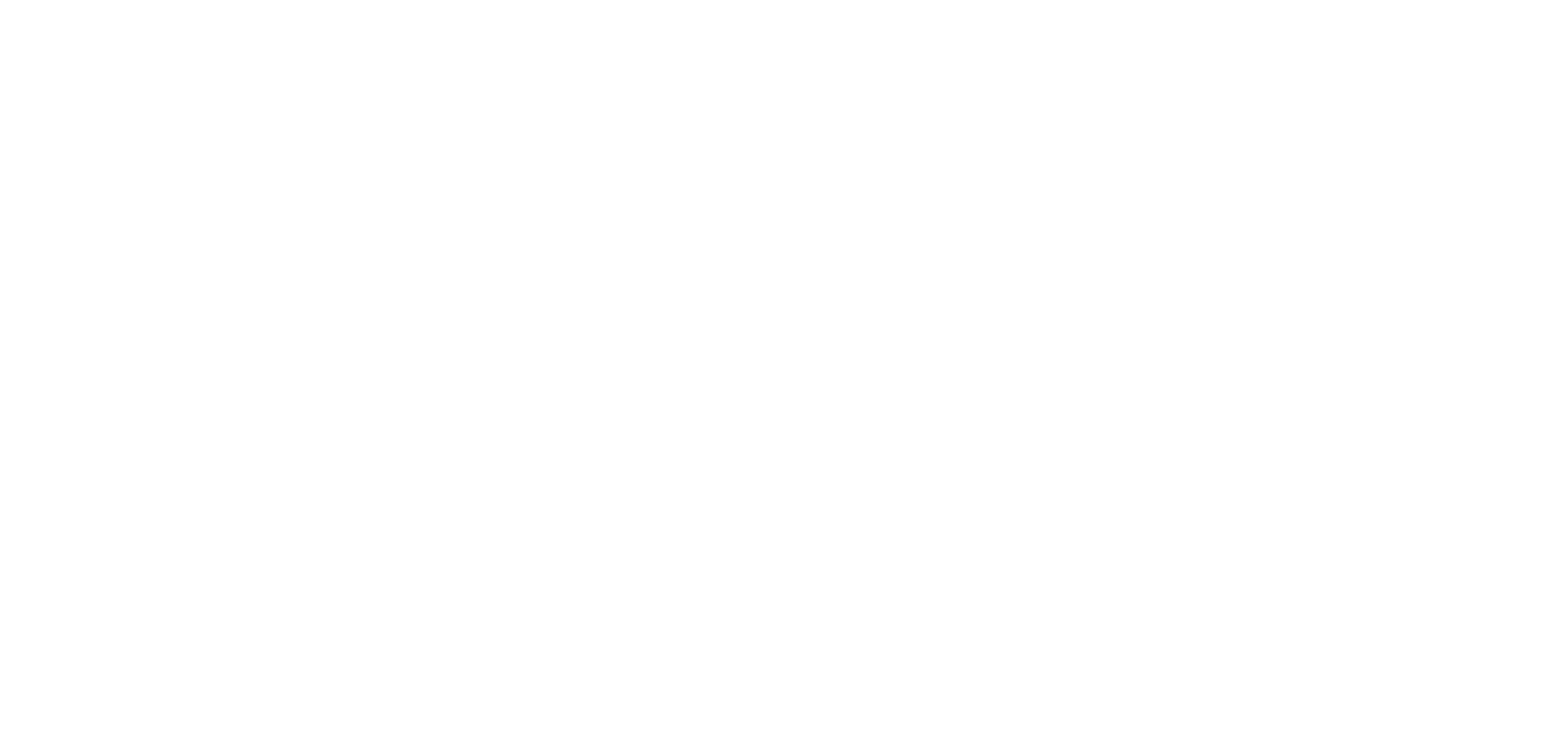 White logo - no background